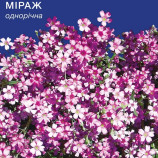 Міраж насіння гіпсофіли (GL Seeds)