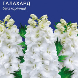 Галахард насіння дельфініума (GL Seeds)
