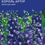 Дельфініум Король Артур