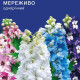 Дельфініум Мереживо