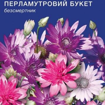 Перламутровый букет семена ксератемума (GL Seeds)