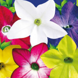 Табак Сенсация