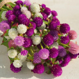 Гофрена Кис смесь (mix)