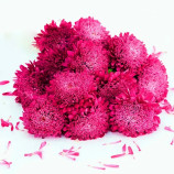 Шанхайская роза кримсон семена астры однол. 55-65см (Satimex ПН)