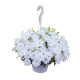 Саксес F1 TR белая (white) семена петунии ампельной 25-30см (Benary)
