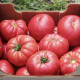 Буффалопінк F1 насіння томату індет. тип Марманде раннього ребрист. 300-400 гр. рожев. (Clause)