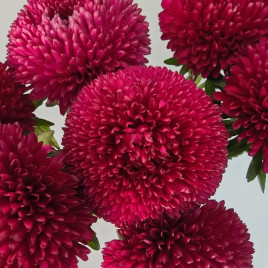 Айстра Балун рубіново-червоний 