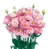 Розита F1 светло-розовая (pink flash) семена эустомы на срез махр. 75-85см (Sakata)