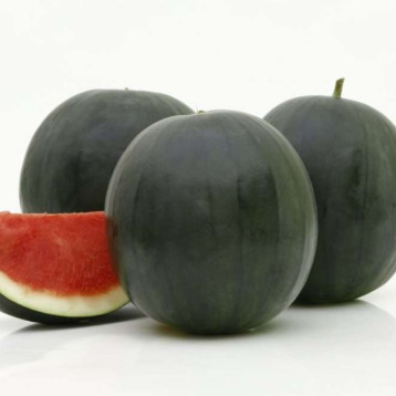 Самба F1 насіння кавуна безнасіннєвого тип Шуга Бебі ультрараннього 57-60 дн. 5-6 кг окр. (Cora Seeds)