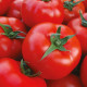 Шахмат F1 семена томата индет. раннего окр. 220-240 гр. красный (Manier)
