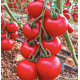 Лугано F1 насіння томату індет. окр. 130-140 гр. червоний (Manier)