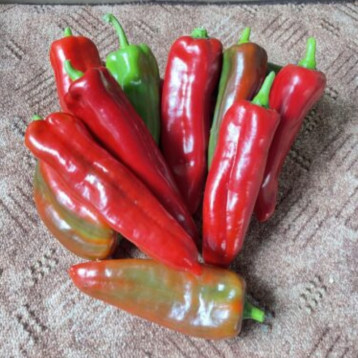 Коник F1 семена перца горького тип Каппи раннего 60 дн. конич. 160-180 гр. 20-22х3-3,5см зел./красн. (Spark Seeds)