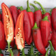 Харизма F1 насіння перцю гіркого тип Паприка раннього 60 дн. коніч. 50-60 гр. 15х3см зел./червон. (Spark Seeds)