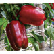 Балта F1 насіння перцю солодкого тип Блочний раннього 65 дн. 200-250 гр. 8,5-11х9,5-10 см зел./червон. (Syngenta)