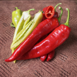 Горн F1 насіння перцю гіркого тип Чарльстон ультрараннього 50-55 дн. коніч. 70-90 гр. сл.кістка/червон. (Spark Seeds)