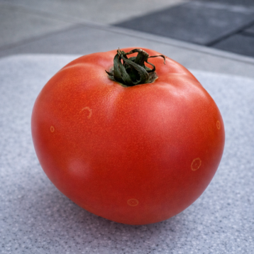 Стронг F1 насіння томату дет. середнього 115 дн. окр. 220-280 гр. червоного (Spark Seeds)