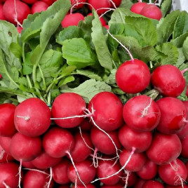 Бальтазар F1 семена редиса 18-20 дн. (Syngenta)