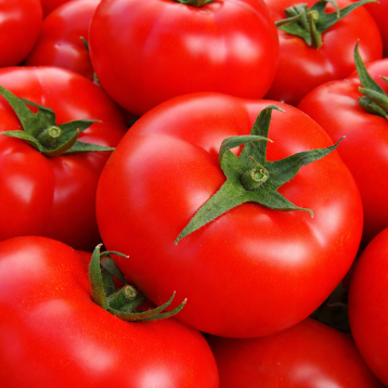 Шахмат F1 семена томата индет. раннего окр. 220-240 гр. красный (Manier)