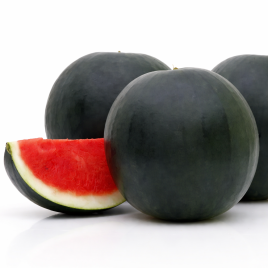 Самба F1 насіння кавуна безнасіннєвого тип Шуга Бебі ультрараннього 57-60 дн. 5-6 кг окр. (Cora Seeds)