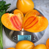 Барселона F1 насіння томату індет раннього серц 180-280 гр жовт-червон (Breeding Seeds)