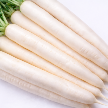Мино Саммер Крос F1 семена редьки тип Дайкон ранней 35-45 дн. 30-40х5-6 см белой (Sakata)