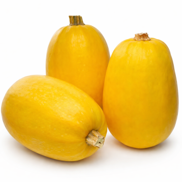 Примавера F1 семена тыквы тип Спагетти ранней 90 дн. 1,5-2 кг (Sakata)