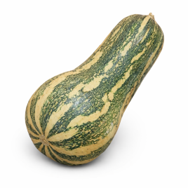 Барбара F1 насіння гарбуза мускатного 0,7-1,6 кг (Sakata)