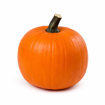 Терафін F1 насіння гарбуза тип Хелловін середнього 3,5-4,5 кг (Sakata)