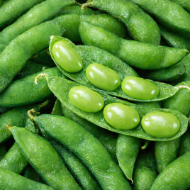 Дейм Джунко F1 семена боба среднего 80-90 дн. зел.(Sakata)