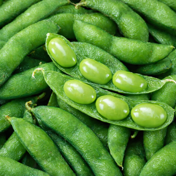 Дейм Джунко F1 насіння боба середнього 80-90 дн. зел.(Sakata)