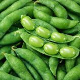 Дейм Джунко F1 семена боба среднего 80-90 дн. зел.(Sakata)