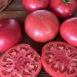 Румбато F1 насіння томату індет. рожевого (Leda Agro)