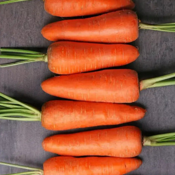 Морква Шантане Роял 
