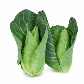 Кейп Рока F1 семена капусты конической среднеранней 60-75 дн. 0,8-1,2 кг зел. (Sakata)