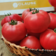 Манарола F1 семена томата индет. раннего окр.-припл. 250-270 гр. роз. (Clause)