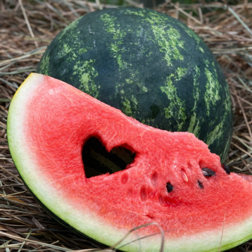 Міні Лав F1 насіння кавуна кр.св. раннього 55-60 дн. 3-4 кг окр. (Clause)