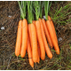 Полідор F1 (1,6-1,8) насіння моркви Нантес середньопізньої 120-125 дн. 18-20 см (Clause)