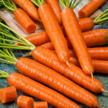 Амстердамская семена моркови тип Нантес среднеранней 100-110 дн. (Suba Seeds)