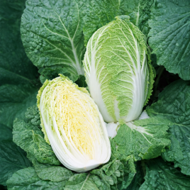 Спринкин F1 семена капусты пекинской (Syngenta)