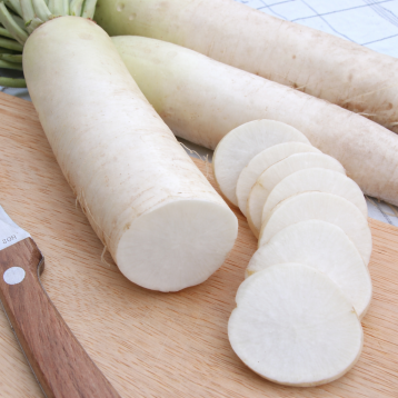 Алабастер F1 семена редьки (Moravoseed)