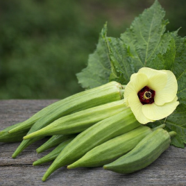 Бамія (окра) Шанкар F1