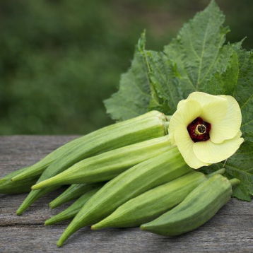 Бамія (окра) Шанкар F1