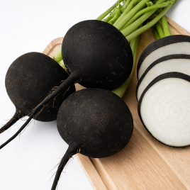 Кулата семена редьки (Moravoseed)