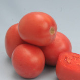 Томат Камелот (LS 1264) F1