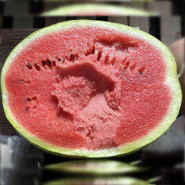 Элгали F1 семена арбуза тип Чарльстон Грей раннего 62-65 дн. 8-10 кг окр. (Syngenta)