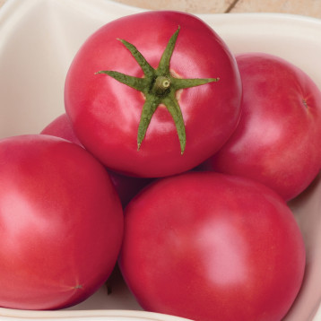 Солвет F1 семена томата дет. раннего 60-65 дн. окр. 150-170 гр. роз. (Syngenta)