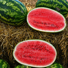 Арбуз Леди F1