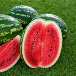 Кримсон Свит семена арбуза (Hollar Seeds)