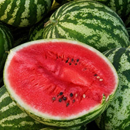 Арбуз Астраханский 