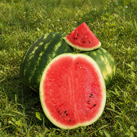 Арбуз Инсепшен F1